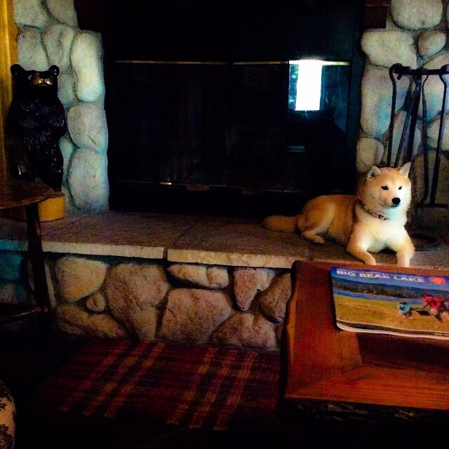 开云平台-曼联碾压土耳其，布鲁诺高光表现